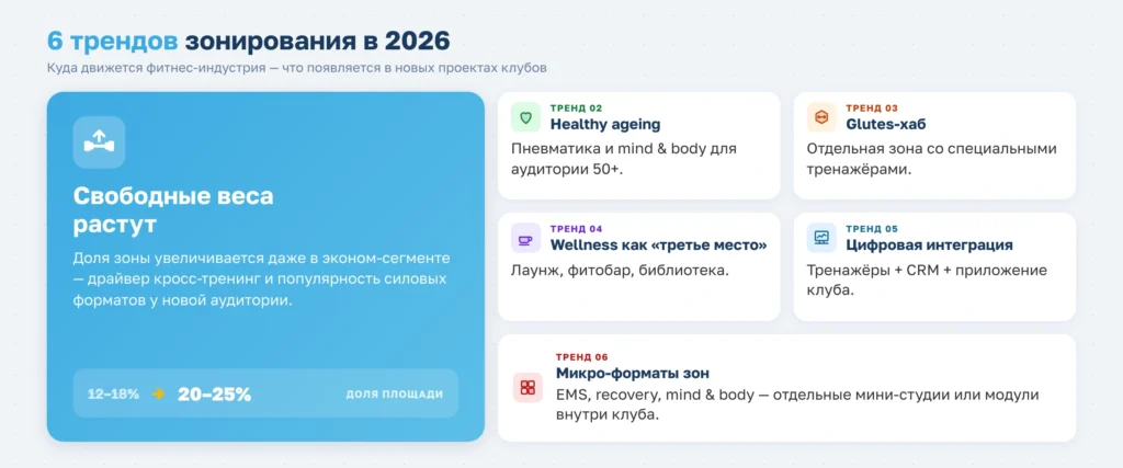Зонирование фитнес-клубов разного сегмента: пропорции, оборудование и тренды 2026 года