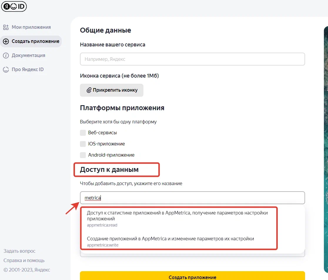 ЯндексМетрика_Создание приложения_02.png
