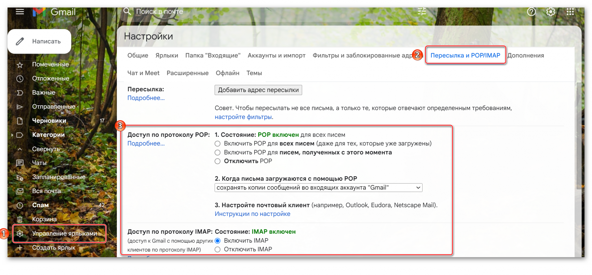 подготовка даных gmail_05.png